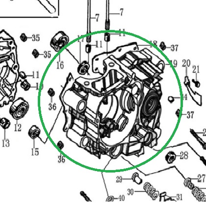 Без имени