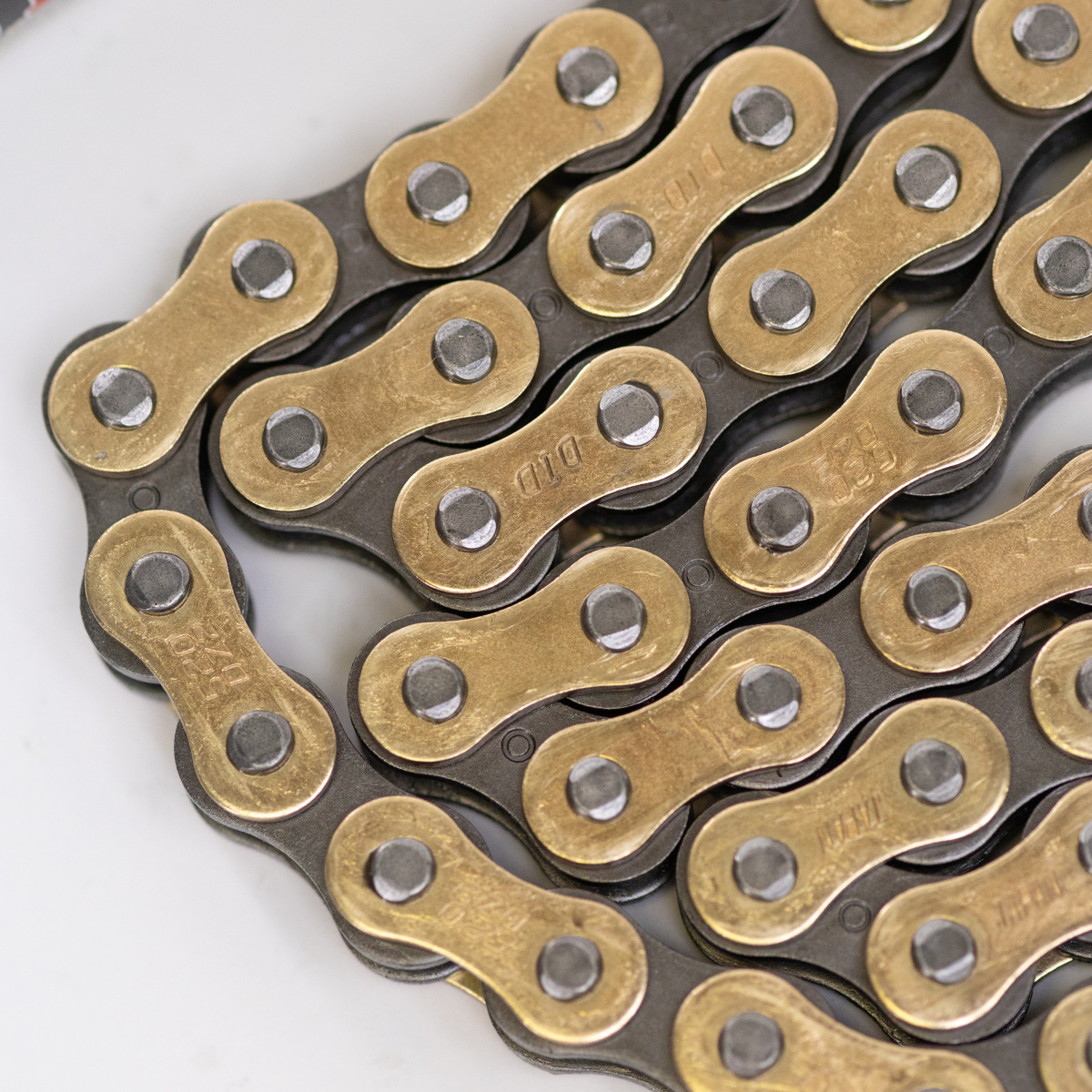 5Y7A3732