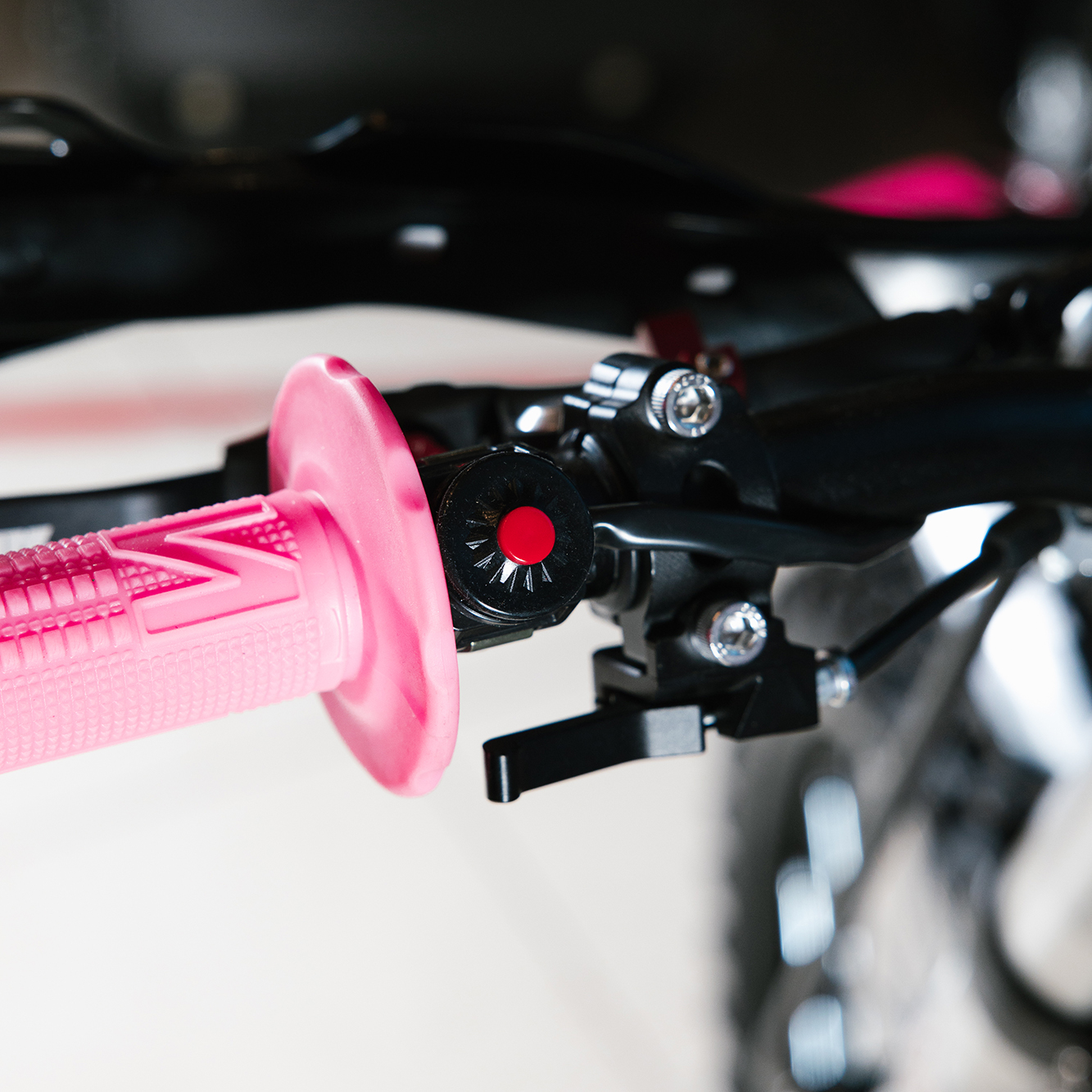 IMG_5459